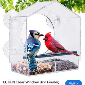 Clear Window Bird Feeder with Blue and Red Accents